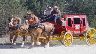 Horses red carriage road people 2 - a road free wallpaper