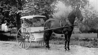 Man carriage park trees grass - mail art free wallpaper