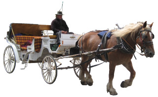Man horse drawn carriage blanket - carriage free wallpaper
