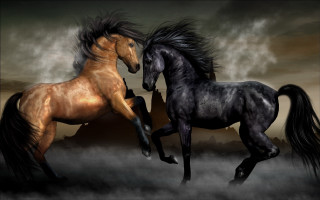 Two horses running cloudy sky - a black horse free wallpaper