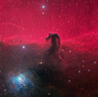 Horse head star filled sky - sky free wallpaper