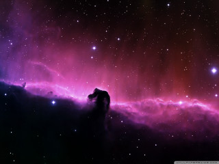 Purple red space stars horse 2 - space free wallpaper