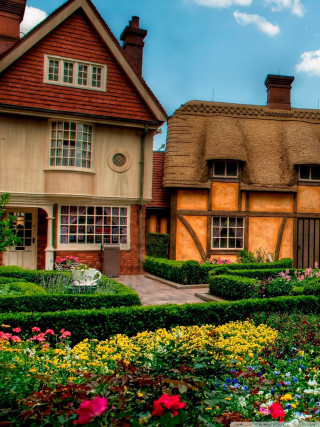 House garden hedge boxwood hedge - a house free wallpaper