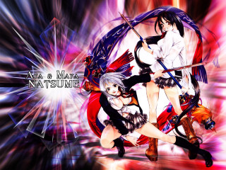 Anime fighting girls red blue - a graphic style free wallpaper