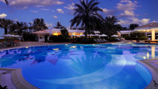 Large pool palm trees dusk - dusk free wallpaper