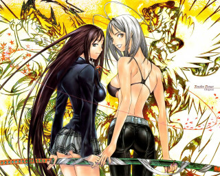 Anime girls swords dragon flowers - sword free wallpaper
