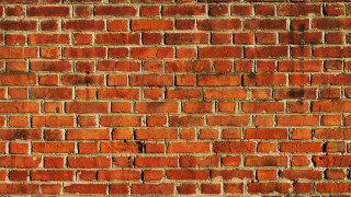 Brick wall stop sign stop - blunt border free wallpaper