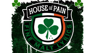 Green white shamrock house of - fantastic realism free wallpaper