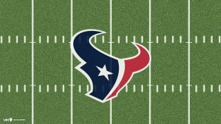 Football field houston texans logo 2 - fanny mcian free wallpaper