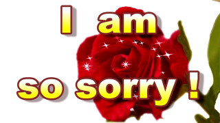 Red rose sorry message green - sorry free wallpaper