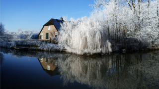 House reflection lake tree background - the water of a lake free wallpaper