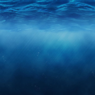 Blue ocean water fish swimming - a surfboard free wallpaper