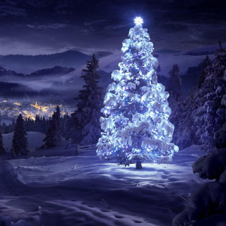 Lit christmas tree snowy night 2 - full free wallpaper