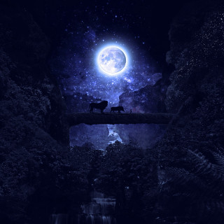 Animals bridge full moon waterfall - under free wallpaper