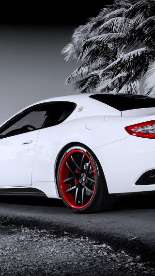 White sports car palm tree - front free wallpaper