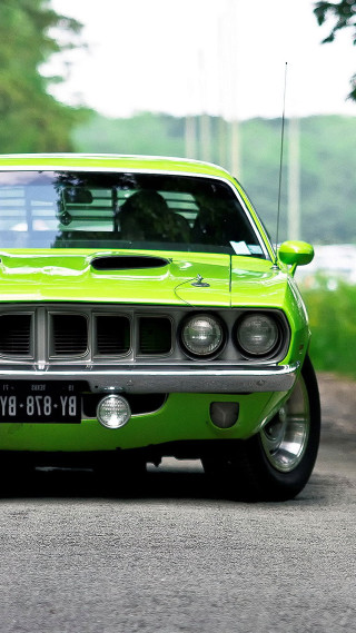 Green car parked roadside forest - art green free wallpaper