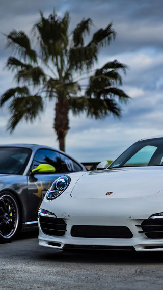 Two cars parking lot palm 2 - palm tree free wallpaper