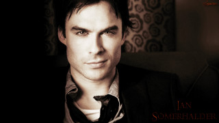 Man suit tie serious look 23 - his face and shoulders free wallpaper