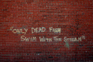 Brick wall graffiti storm fishstop - lostfish free wallpaper