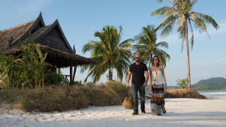 Beach palm trees hut man - palm tree free wallpaper