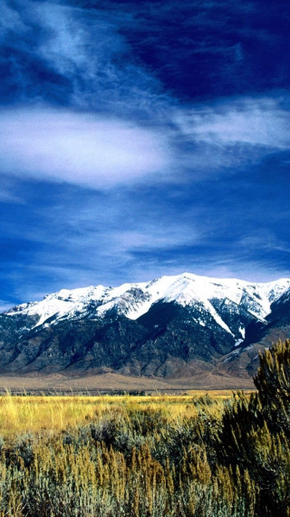 Horse standing field mountain snow - regionalism free wallpaper