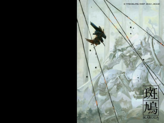 Bird flying forest asia helmet - over a forest free wallpaper