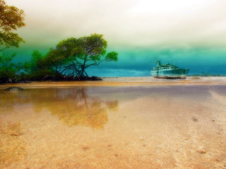 Boat water beach trees background - a green sky free wallpaper