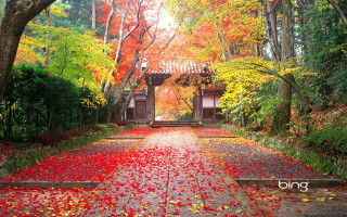Pathway leaves building red door - a building in the background free wallpaper