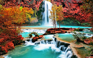 Waterfall background trees foreground nature 4 - a waterfall in the background and trees free wallpaper