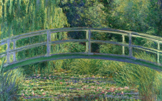 Bridge pond water lilies tree - a green leafy tree free wallpaper
