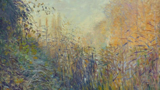 Forest tall grass trees background - a painting of a forest free wallpaper