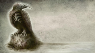 Bird rock clock skeleton sitting - top of a rock free wallpaper