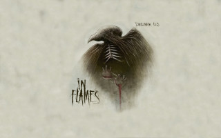 Bird skeleton drawing art illustration - a drawing of a bird free wallpaper