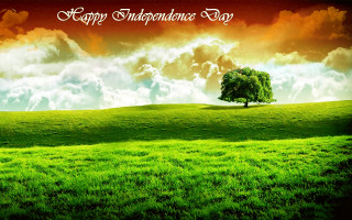 Green field tree sunset sky - a green field free wallpaper