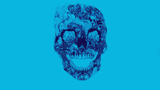 Blue skull floral design face - a screenprint free wallpaper