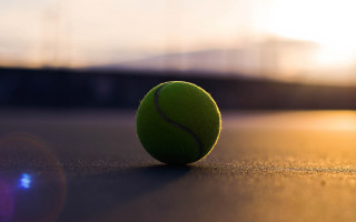 Tennis ball sitting on ground - a tennis ball free wallpaper