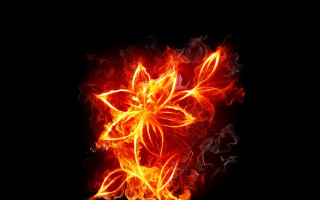 Fire flower bright flames black - the dark free wallpaper