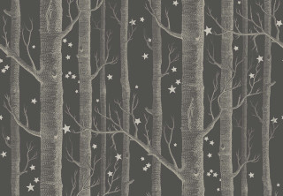 Black white forest stars branches - photo of a forest free wallpaper