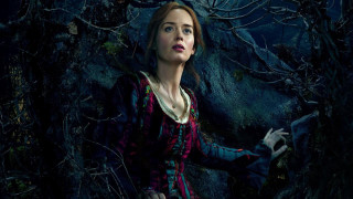 Woman dress forest night creepy - a woman in a dress free wallpaper