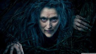 Woman long hair blue eyes 24 - annie leibovitz free wallpaper
