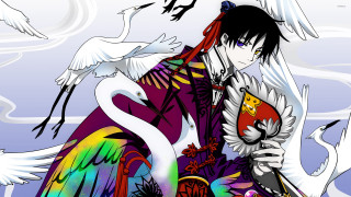 Man bird shoulder rainbow bird 2 - his shoulder free wallpaper