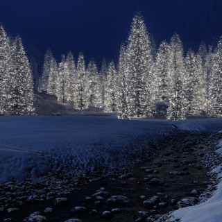 Snowy path forest trees volumetric - free winter wallpaper