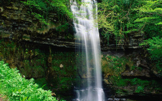 Waterfall forest lush green river - a waterfall in a forest free wallpaper