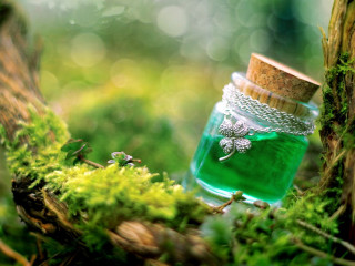 Green jar moss forest bokeh - moss free wallpaper