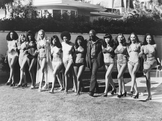Women bathing suits wall house - 1 9 6 0 s free wallpaper