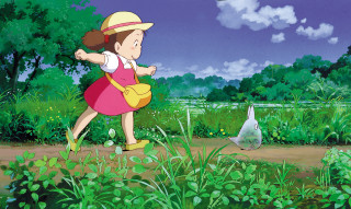 Girl pink dress hat field - magical free wallpaper for desktop