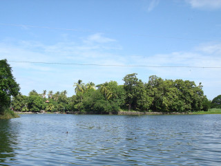 Water trees powerlines blue sky - ella guru free wallpaper