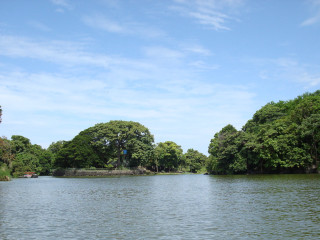 Lake bridge trees blue sky - afewerk tekle free wallpaper