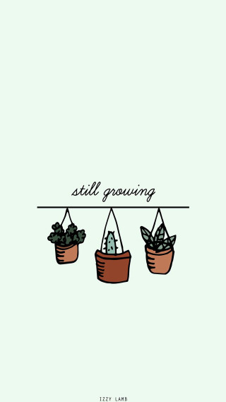 Still growing three potted plants - growing free wallpaper