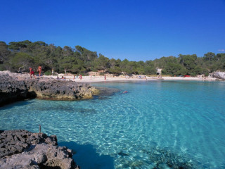 Beach clear blue water people - free beach wallpaper